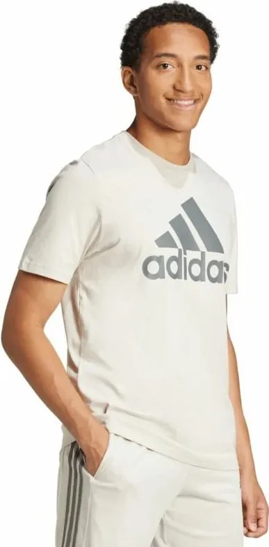 Pamja 2