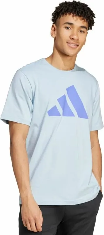 Pamja 2