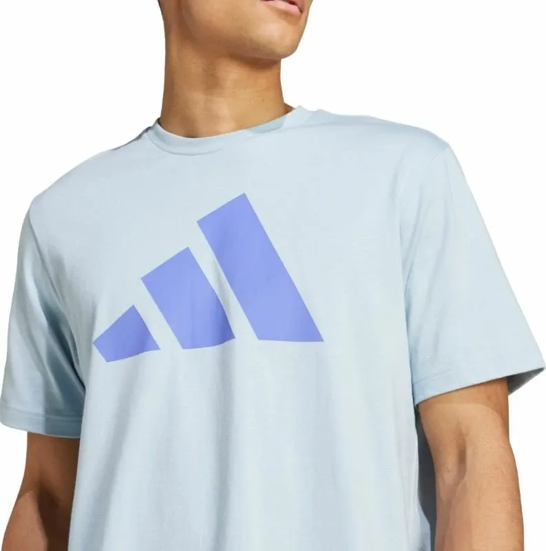 Pamja 5