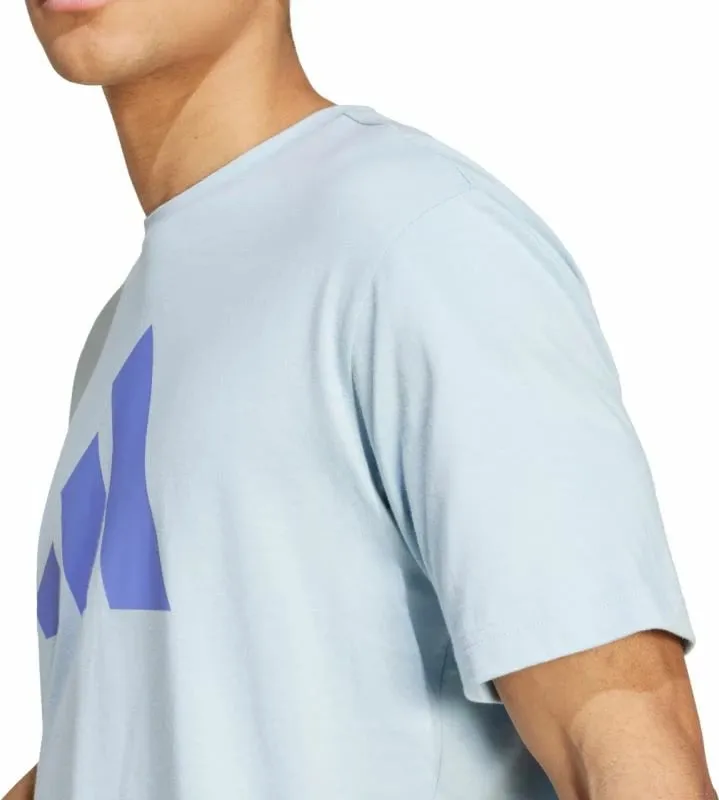 Pamja 6