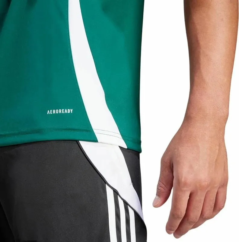 Pamja 6