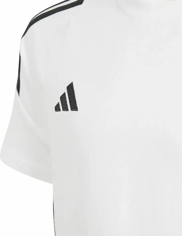 Pamja 5