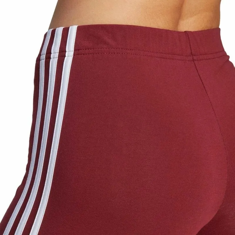 Pamja 6