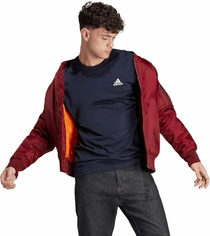 Pamja 4