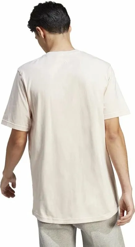 Pamja 3