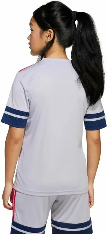Pamja 3