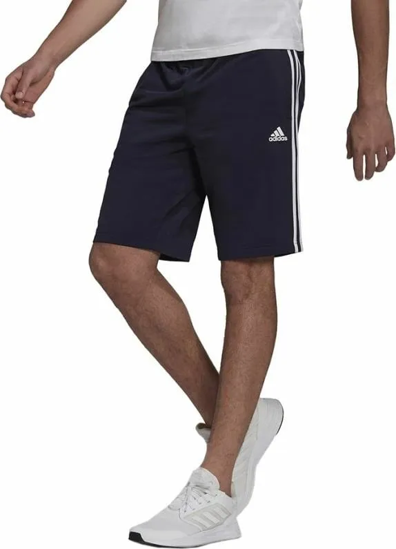 Pamja 2