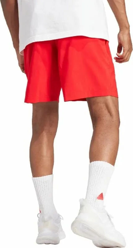 Pamja 2