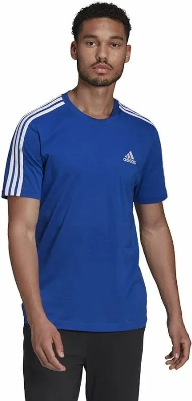 Pamja 1