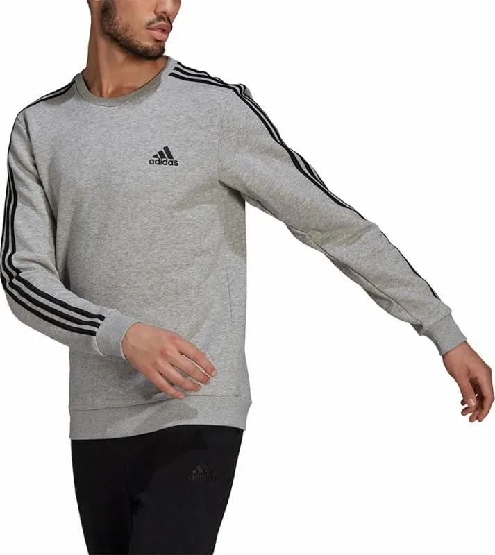 Pamja 3