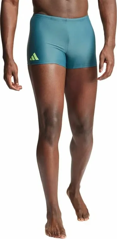 Pamja 4