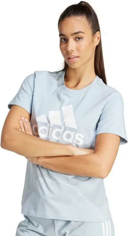 Pamja 3