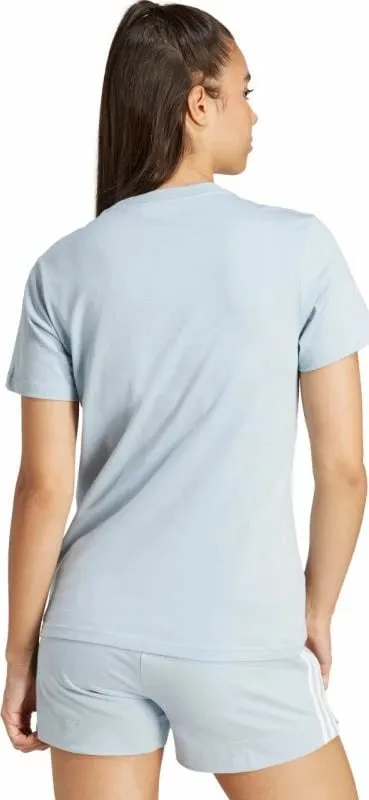Pamja 4