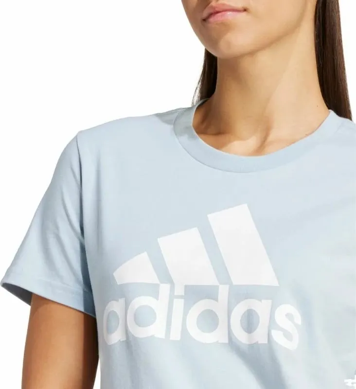 Pamja 6