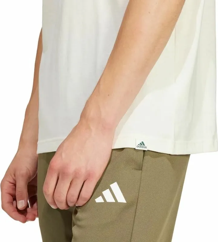 Pamja 5