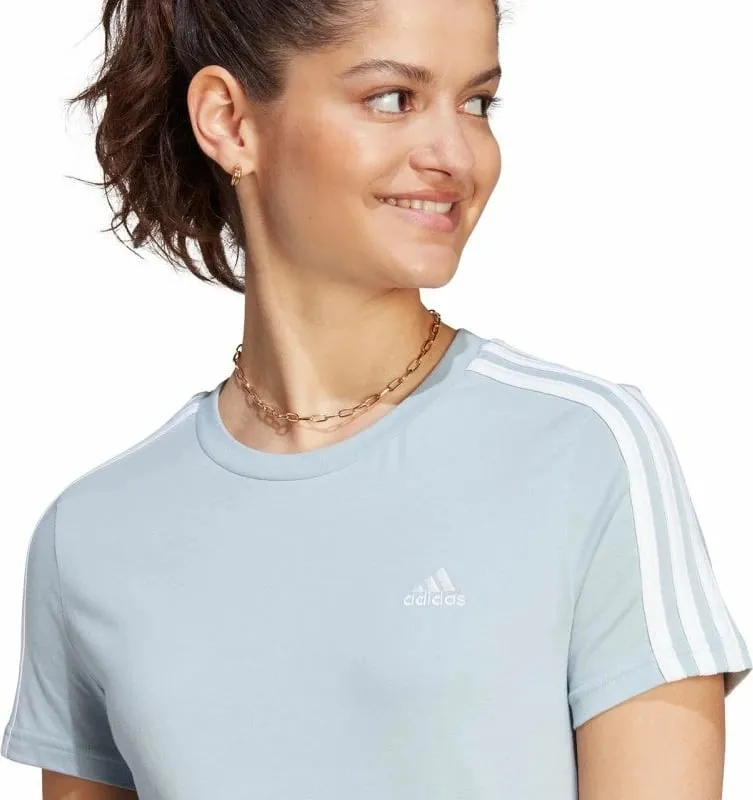 Pamja 5