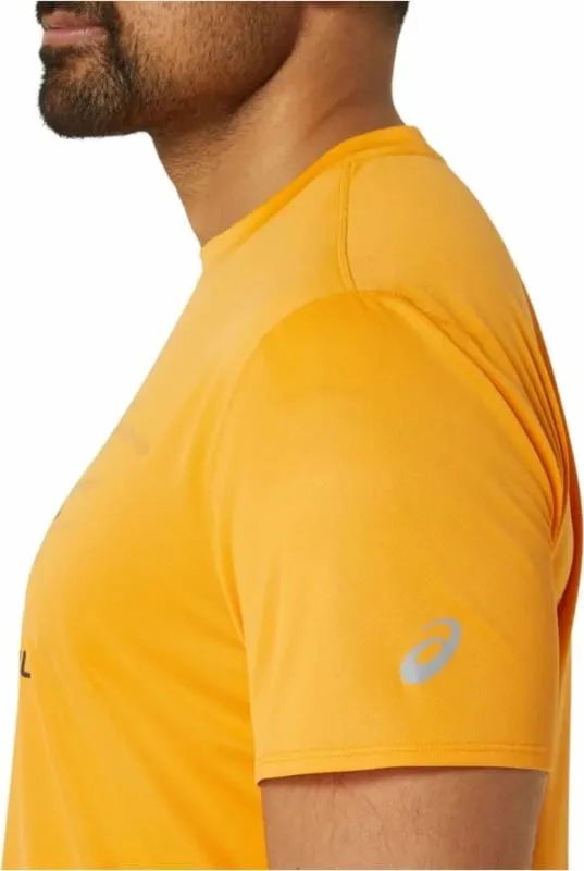 Pamja 4