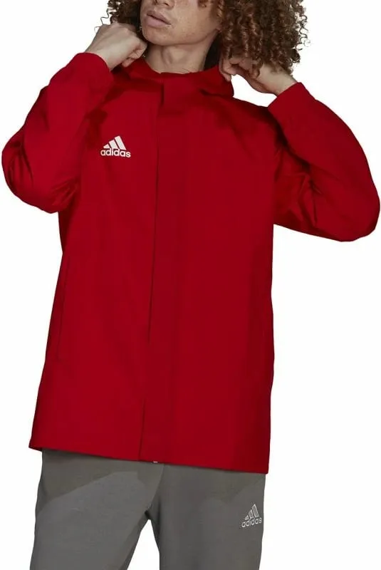 Pamja 4