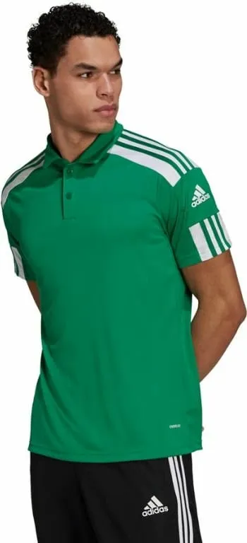 Pamja 1
