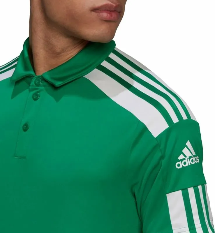 Pamja 4