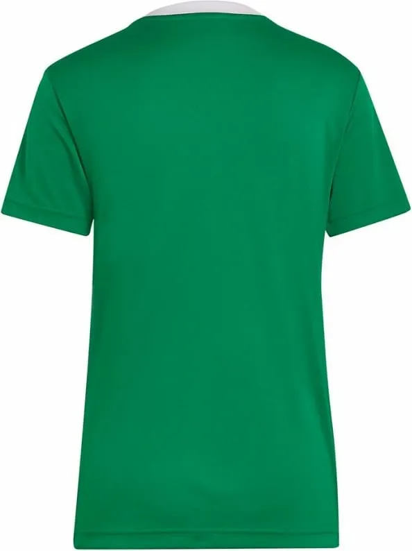 Maicë adidas për femra, e gjelbër - 2