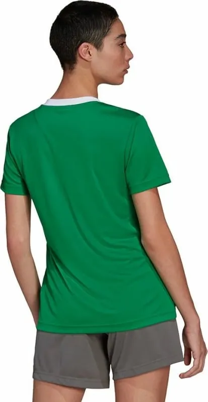 Maicë adidas për femra, e gjelbër - 4
