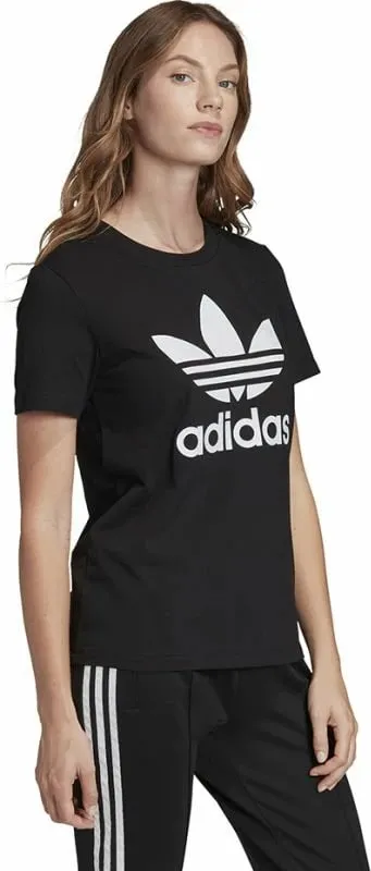 Pamja 3
