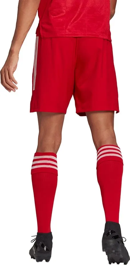 Shorce për meshkuj adidas, të kuqe - 2