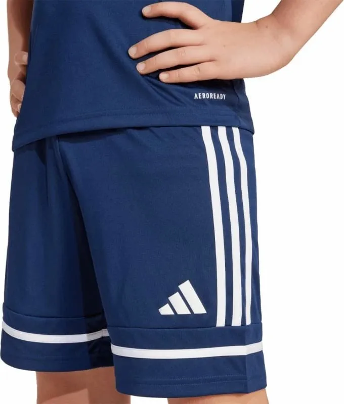 Pamja 2