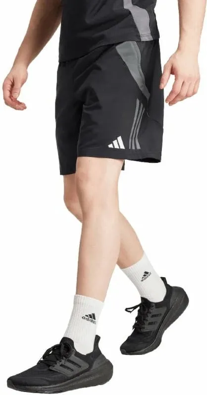 Pamja 3