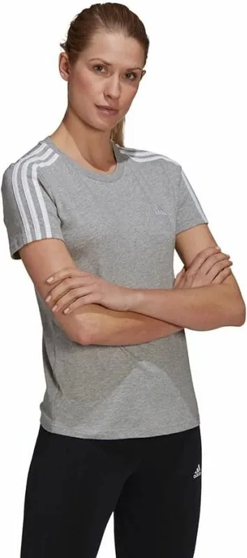 Pamja 3