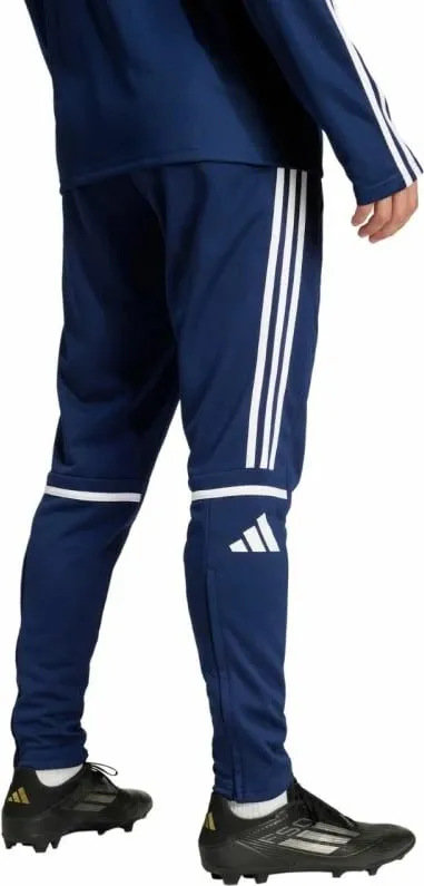 Pamja 2