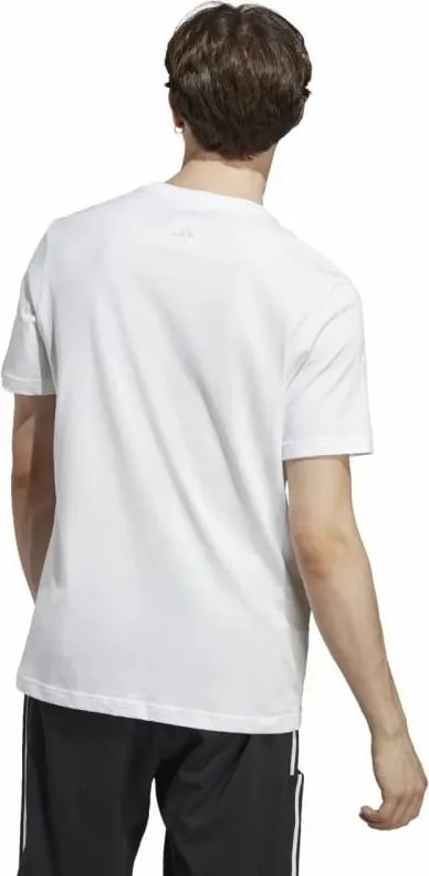 Pamja 3