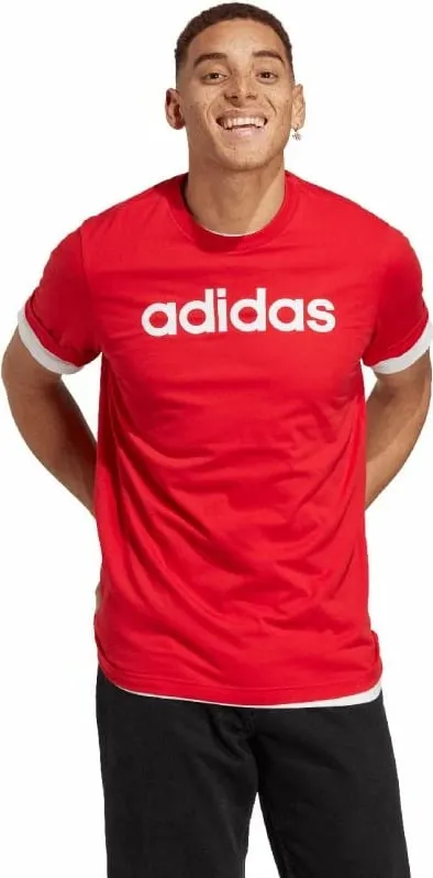 Pamja 6
