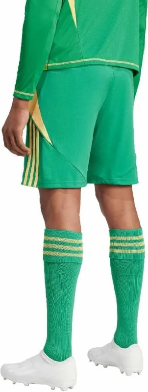 Shorce për meshkuj adidas, të gjelbërta - 2