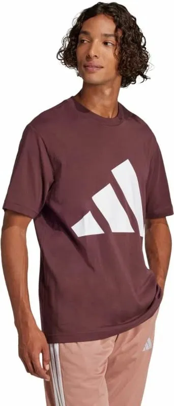 Pamja 4