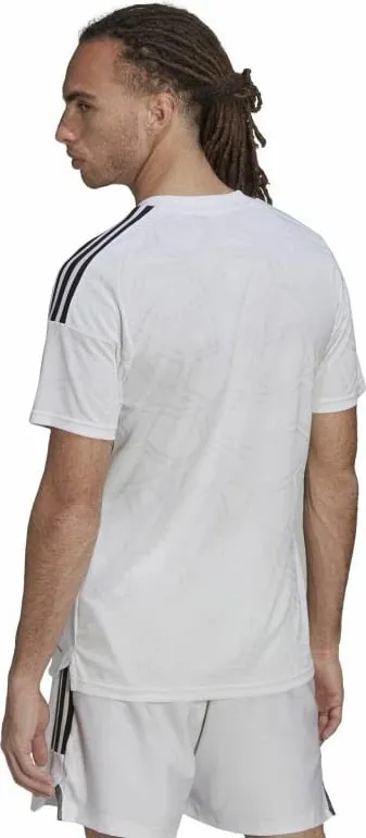 Pamja 3