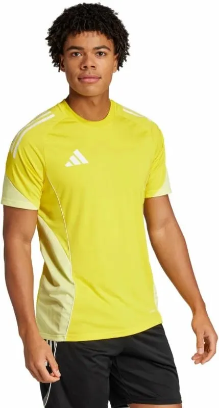 Pamja 3