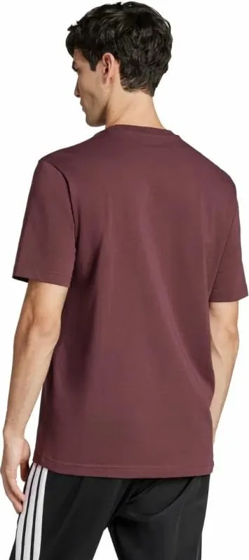 Pamja 3