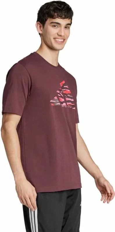 Pamja 4