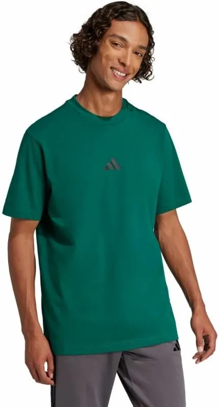 Pamja 4