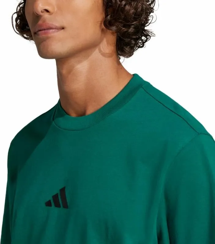 Pamja 6