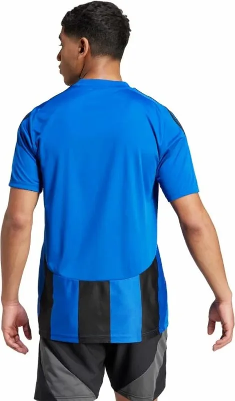 Pamja 4