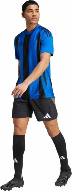 Pamja 6