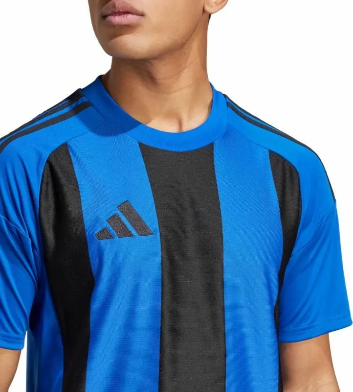 Pamja 7