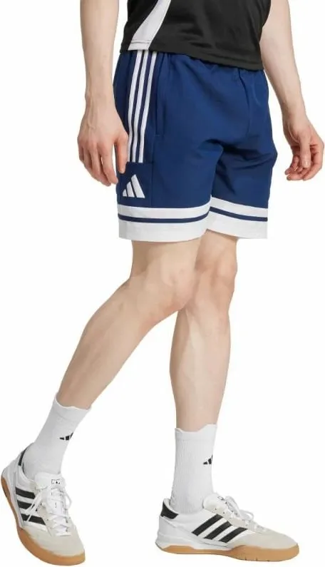 Pamja 3