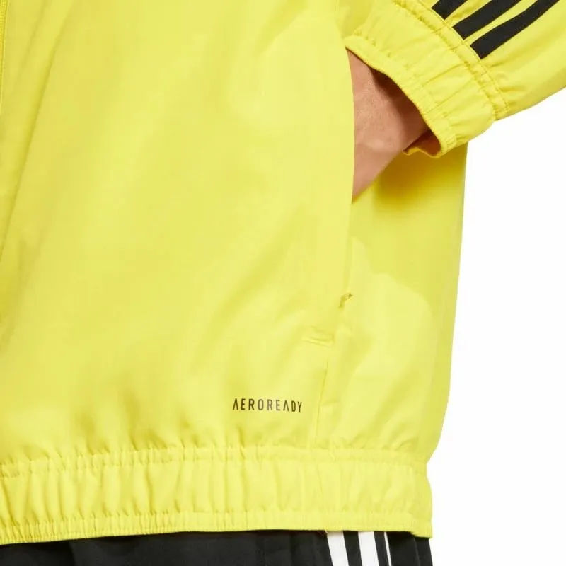 Pamja 4