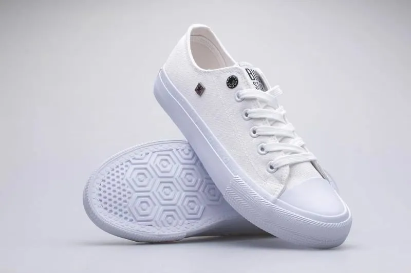 Pamja 1