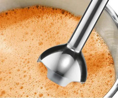 Blender Bosch MSM2610B, 700 ml, 600W, i zi - 1