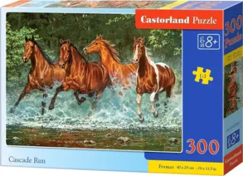 Puzzle Castorland, 300 elemente